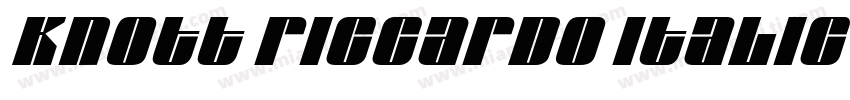 Knott Riccardo Italic字体转换